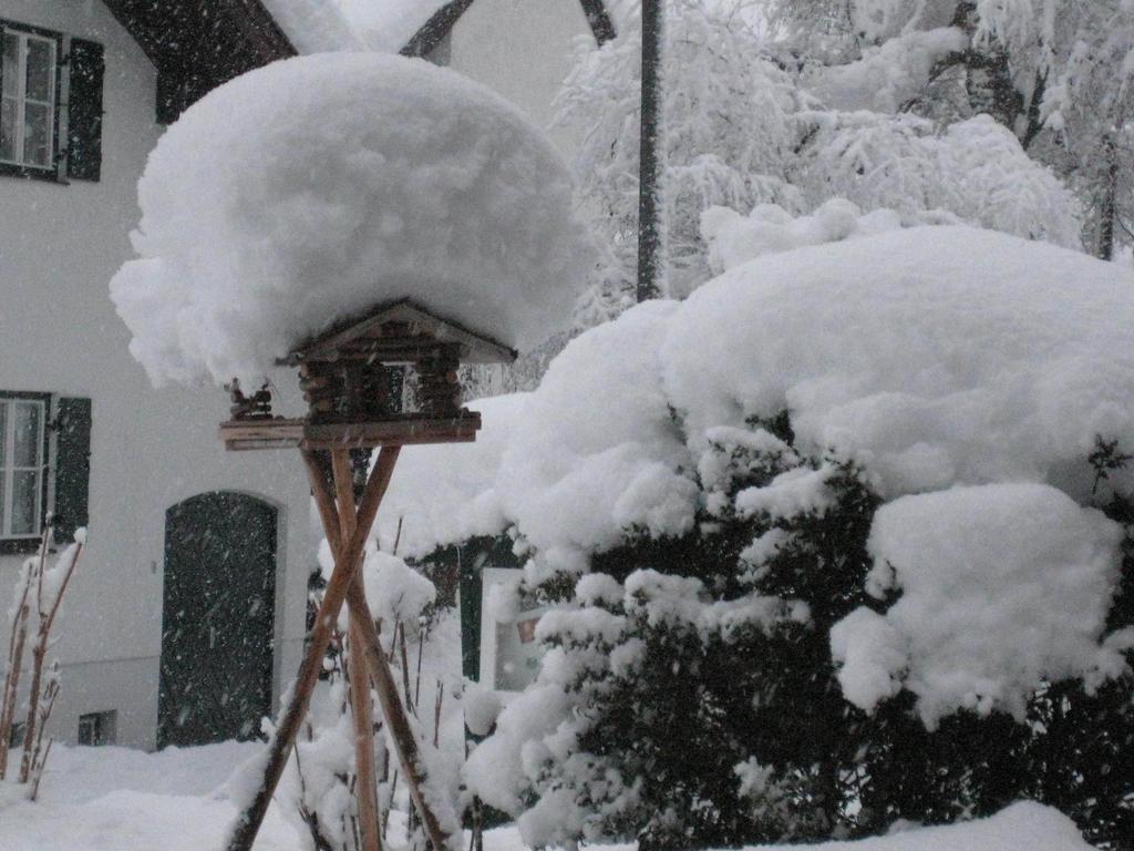 Rappenkopf Oberstdorf